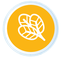 organic products icon