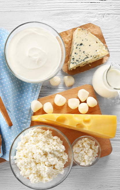 dishes of different cheeses and dairy products